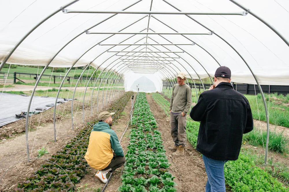 Eleven Madison Park | New York, NY