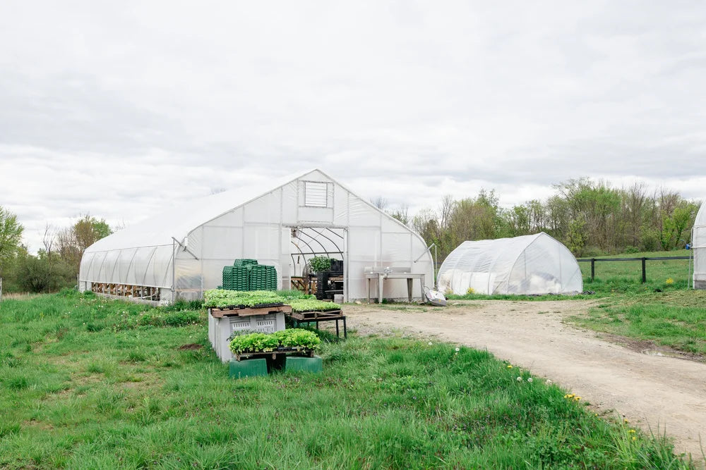 Eleven Madison Park | New York, NY