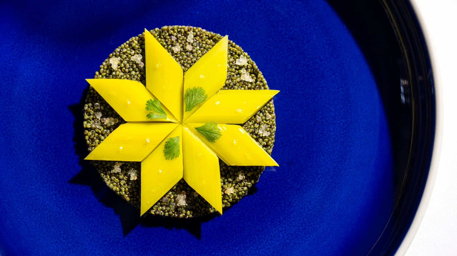 Eleven Madison Park | New York, NY